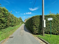 hattenville (12)